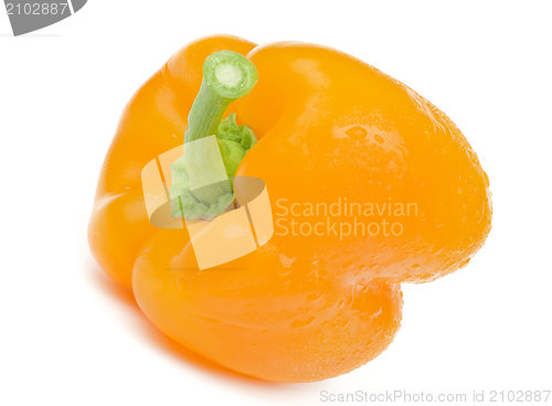 Image of Yellow Bell Pepper