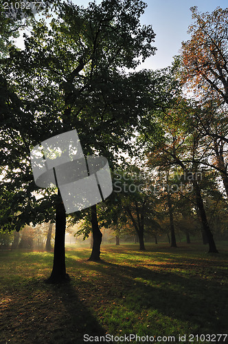 Image of Autumn Morning Light