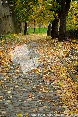 Image of Autumn Walk Road