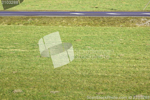Image of green lawn and road