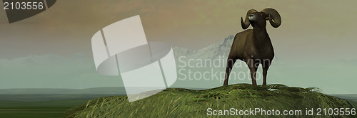 Image of Big Horn Sheep on Bluff