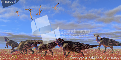 Image of Parasaurolophus Desert