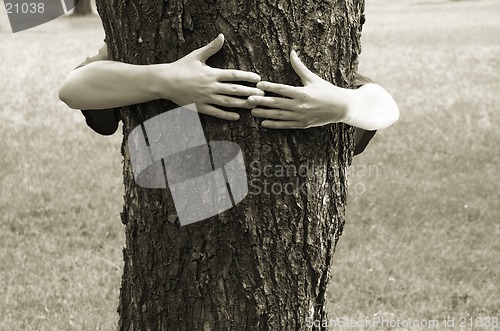 Image of hands clasping the tree