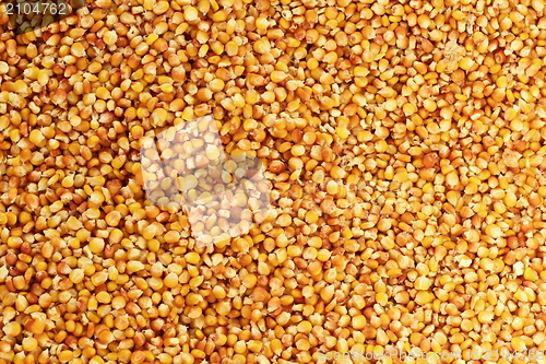Image of corn texture