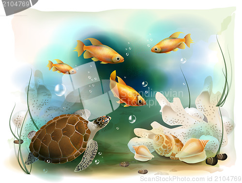 Image of illustration of the tropical underwater world