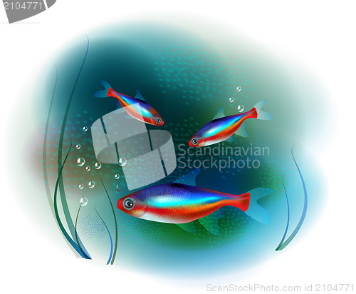 Image of neon fish in the sea