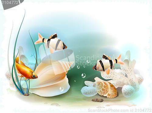Image of illustration of the tropical underwater world