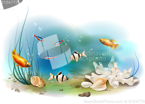 Image of illustration of the tropical underwater world