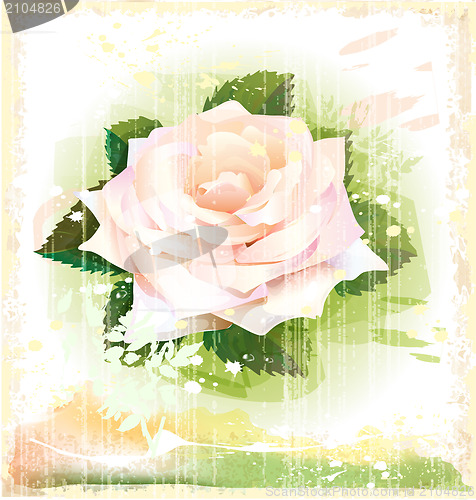 Image of vintage illustration of pink rose