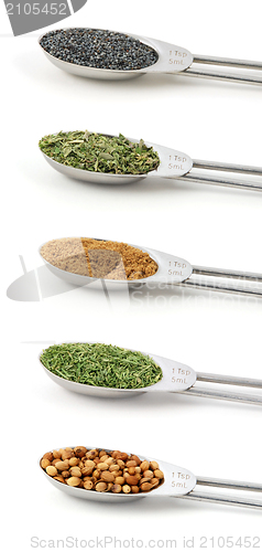 Image of Herbs measured in metal teaspoons