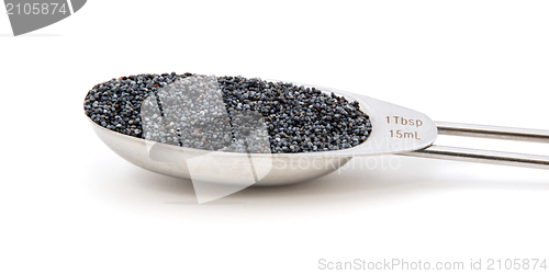 Image of Poppy seeds measured in a metal tablespoon