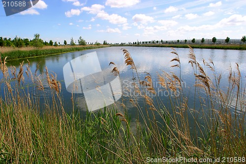 Image of Dutch landscape