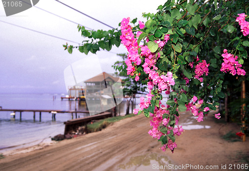 Image of honduras 1