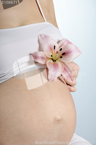 Image of Pregnancy