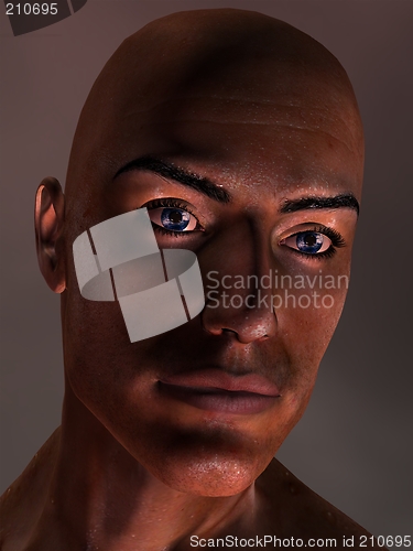 Image of Face