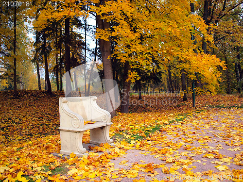 Image of Ancient bench in autumn park