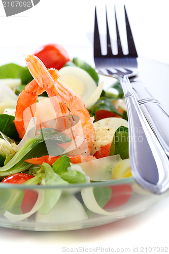 Image of  Seafood salad with green leaf,cherry tomato and cheese closeup.