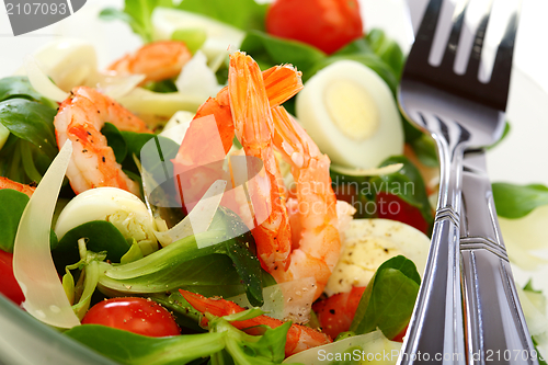 Image of Colorful seafood salad.