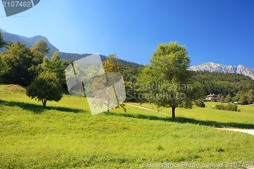 Image of Alpine landscape