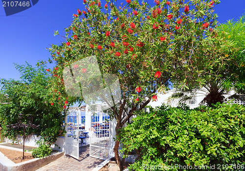 Image of Path to the sea