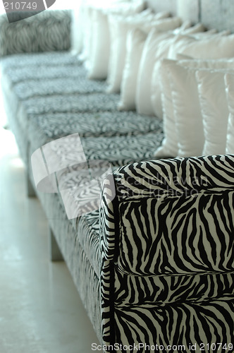 Image of Zebra sofa