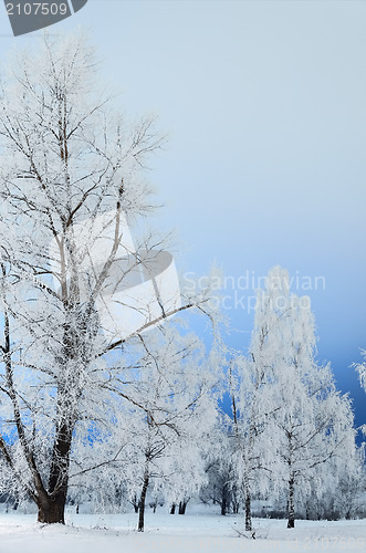 Image of Winter