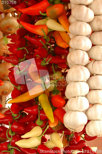 Image of Spices hanging in rows