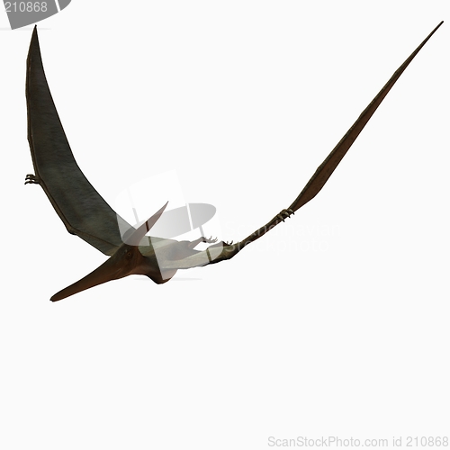 Image of Pteranodon