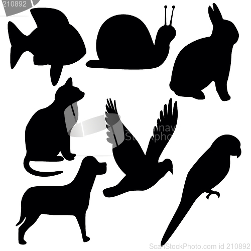 Image of Symbols