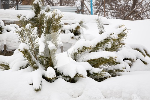 Image of Snowstorm.