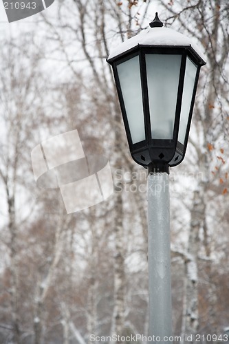 Image of After snowstorm. Street lamp