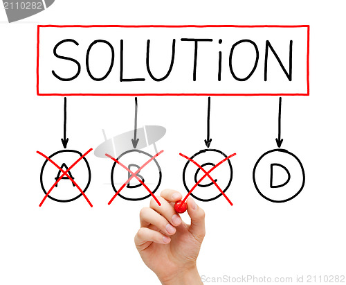 Image of The Last Solution Option