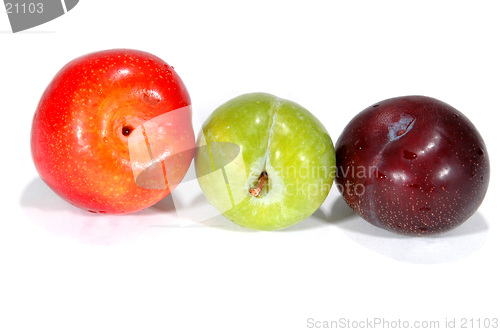 Image of plums 2