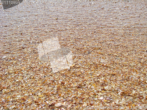 Image of Background from sand and cockleshells