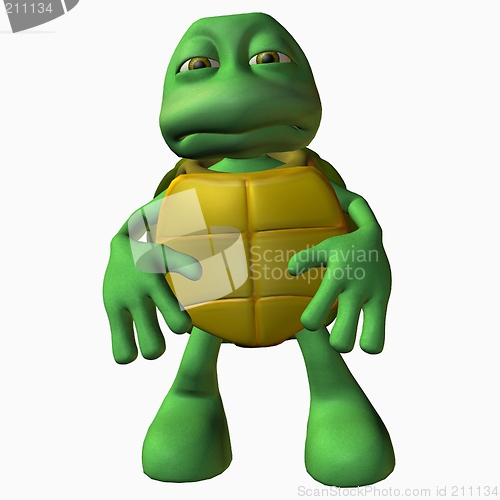 Image of Turtle Boy -Bummer