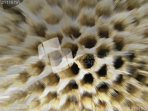 Image of Brown dark abstract background