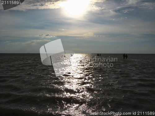 Image of the people going in the sea