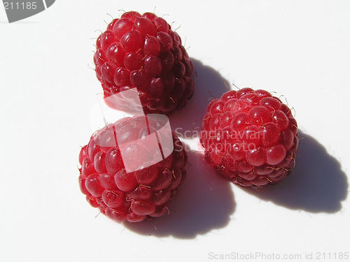 Image of rasberries