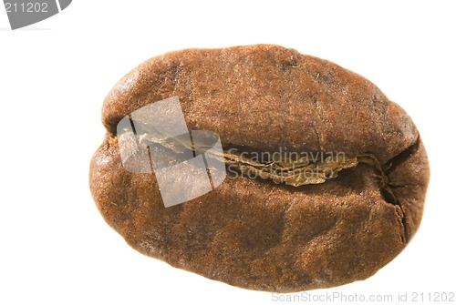 Image of Coffee bean macro