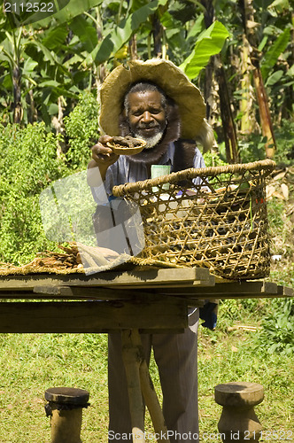 Image of Traditional healer