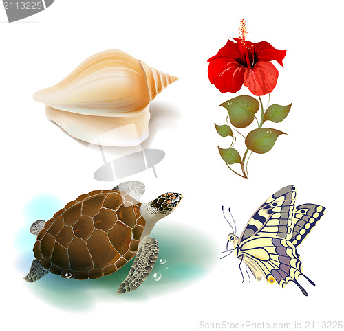 Image of set of realistic tropical icons