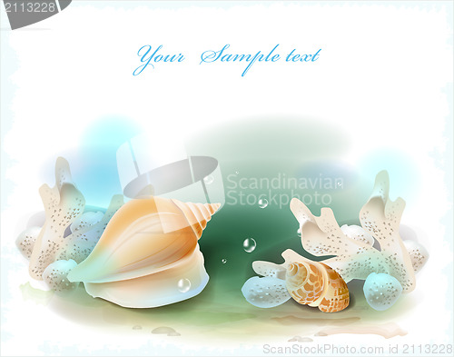 Image of background with seashells and corals