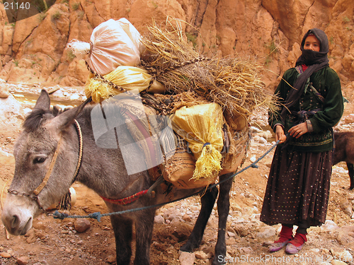 Image of Arab woman with donkey