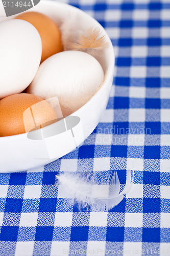 Image of  brown and white eggs and feathers