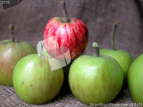 Image of apple