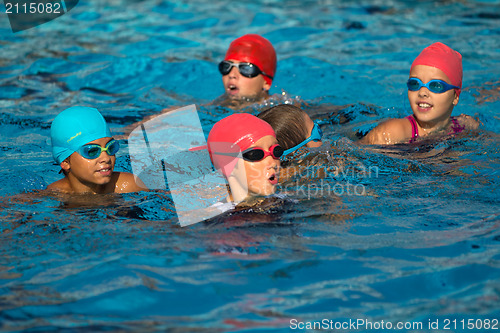 Image of Young swimmers