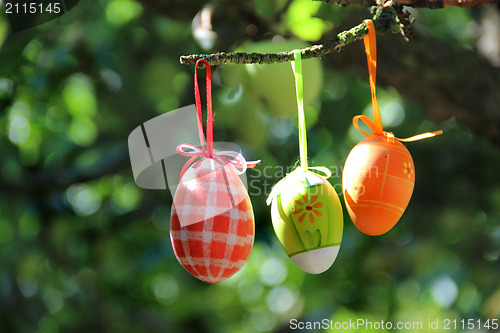 Image of Easter eggs hanging on the tree 