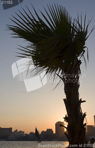 Image of Nile Sunset
