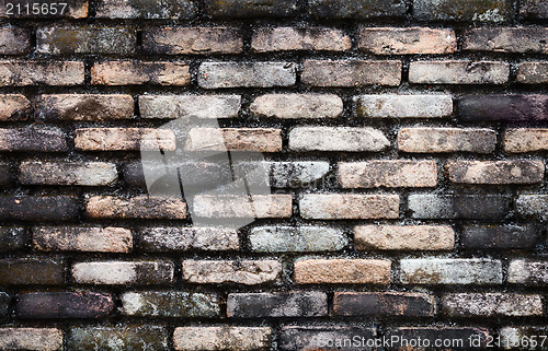 Image of Old brick wall with mold architectural background