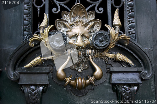 Image of brass brown knocker in a green  door